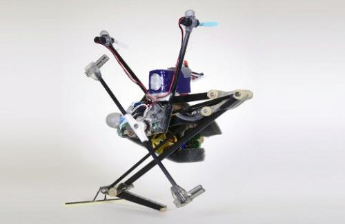 Chế tạo thành công robot tí hon có thể nhảy gấp 10 lần chiều cao cơ thể