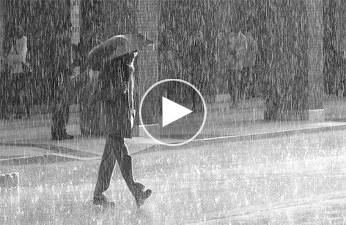 Video: Bí quyết dự đoán thời điểm cơn mưa ập tới