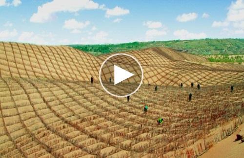 Video: Hỗn hợp giúp Trung Quốc biến sa mạc thành đất trồng