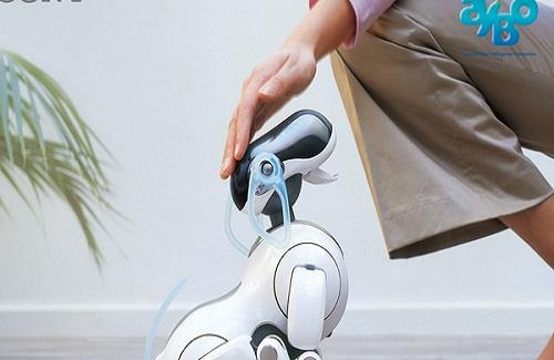 Robot thú cưng Aibo mới của Sony chính thức lên kệ