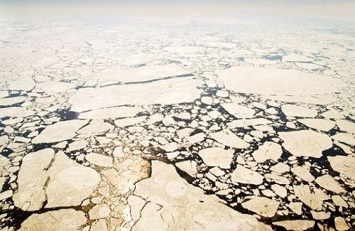 7 vai trò không thể thay thế của băng biển Bắc Cực