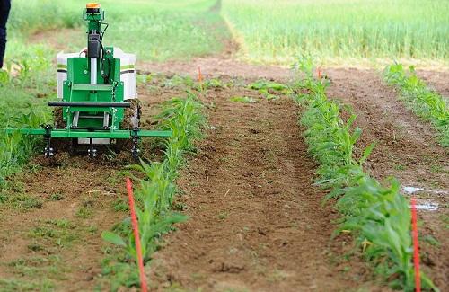 Robot nhỏ này sẽ cách mạng hóa ngành nông nghiệp