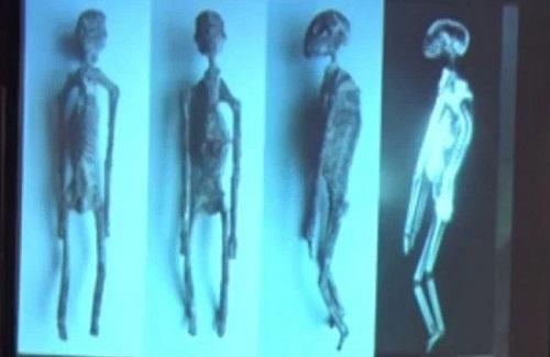 "Bộ xương người ngoài hành tinh" được tìm thấy ở Peru là thật?