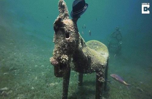 Phát hiện bức tượng kỳ lạ đội mũ dưới đáy biển Ai Cập