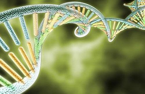 Liệu pháp gen là gì?  Tìm hiểu về liệu pháp gene