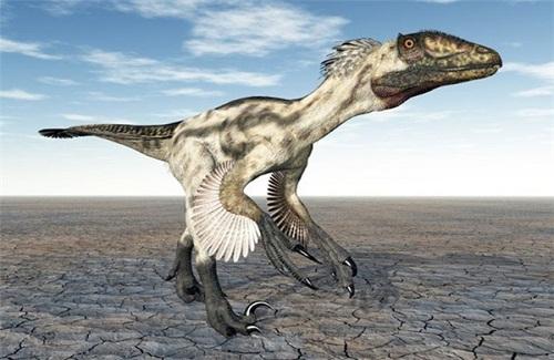 Khám phá chim Thuỷ cổ - phát hiện dấu hiệu đáng ngạc nhiên về loài khủng long