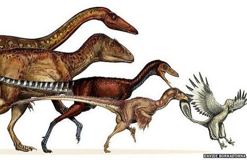 Khủng long đã tiến hóa thành loài chim ngày nay?