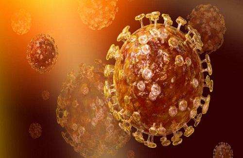 Phát hiện mới về virus MERS-CoV khiến nhiều người lo lắng