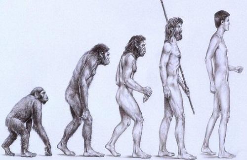 Những quan niệm sai lầm về tiến hóa