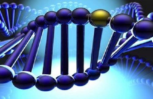 Vai trò to lớn của công nghệ tổ hợp gen nhân tạo