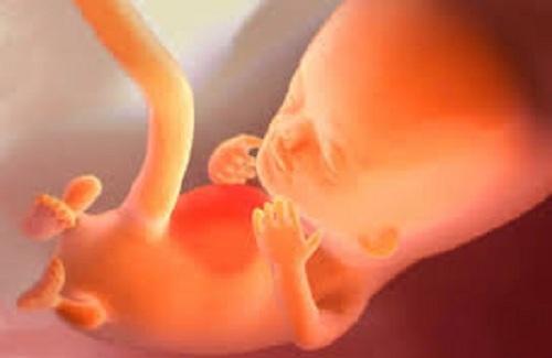 Công nghệ mới giúp bậc cha mẹ có được mô hình 3D của thai nhi