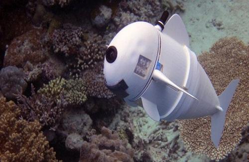 Chú cá robot có thể bơi ở độ sâu 15m mà không bị phát hiện