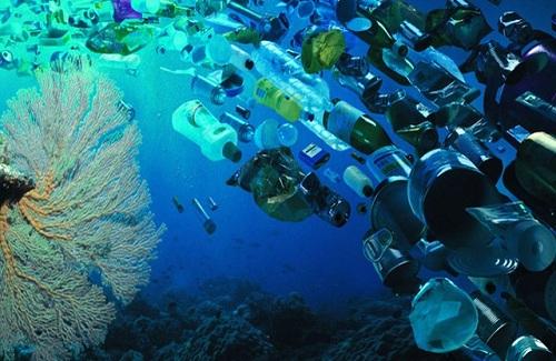 Rác thải nhựa ở đại dương sắp nhiều hơn cá?