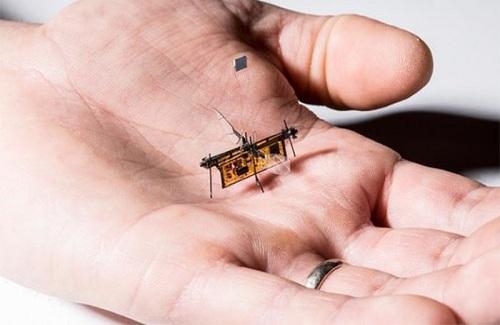 Robot tí hon có thể bay như ong mật nhờ năng lượng laser