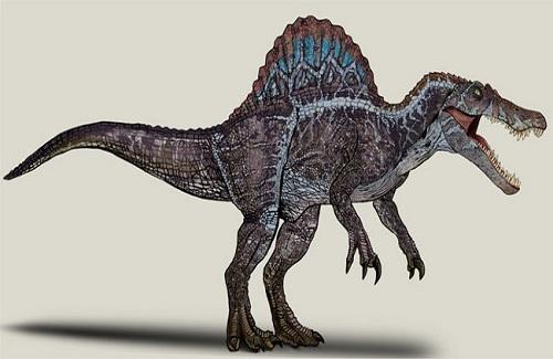 Video: Loài khủng long ăn thịt lớn nhất từng tồn tại trên Trái đất