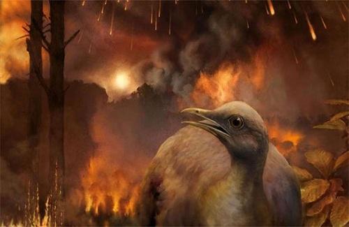 Cùng phải chịu thảm họa thiên thạch nhưng vì sao khủng long tuyệt chủng, chim thì không?