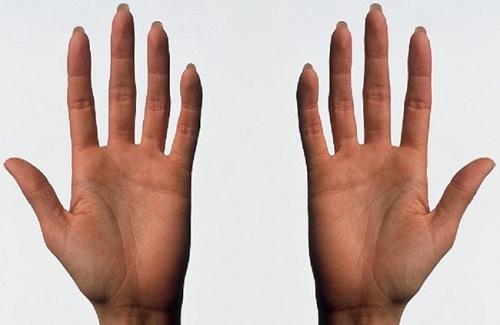 Bạn có thể đếm đến bao nhiêu với bàn tay của mình?