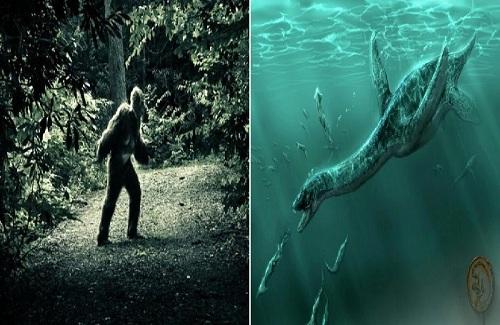 5 loài quái thú huyền thoại: Liệu chúng có thật sự tồn tại? (Video)