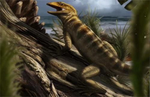 Hóa thạch tiết lộ tổ tiên của thằn lằn và rắn ngày nay