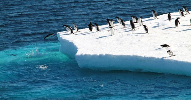 Nam Cực ghi nhận tình trạng tuyết rơi kỷ lục do... Trái đất nóng lên