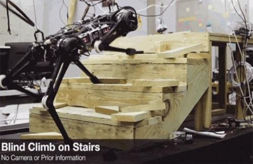 "Robot mù" của MIT có thể chạy, leo trèo cầu thang thành thạo