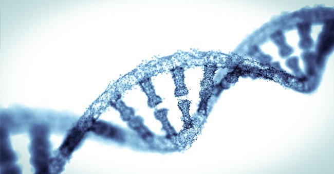 Các nhà khoa học phát hiện 52 "gene thông minh" quyết định 5% trí tuệ của bạn