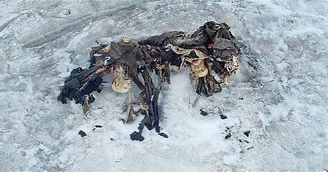 Sự ấm lên toàn cầu đang làm rã đông... những xác chết từ thời Thế chiến thứ nhất