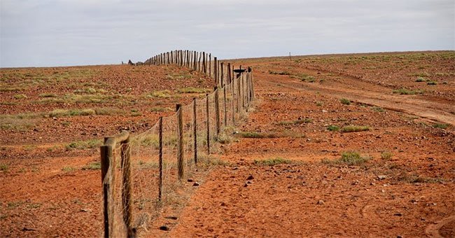 Hàng rào dài nhất thế giới phân đôi sa mạc Australia