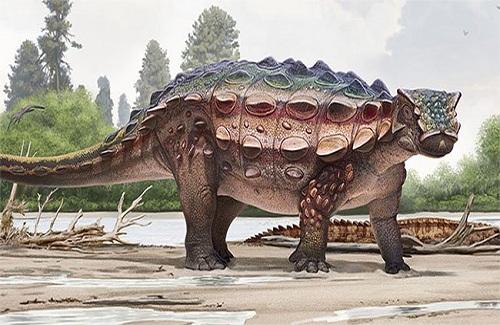 Phát hiện hóa thạch khủng long bọc giáp đầu gai ở Mỹ