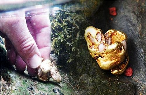 Anh: Tìm thấy cục vàng tự nhiên lớn nhất sau 500 năm, giá 1,5 tỷ đồng