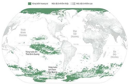 Đại dương mênh mông nhưng hầu hết diện tích đã bị con người "xâm lược"