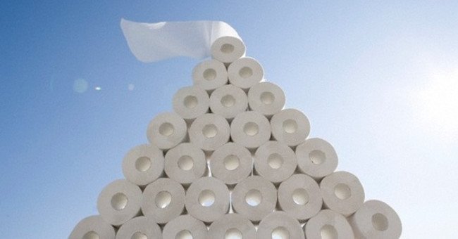 Khám phá lịch sử và quy trình sản xuất đầy thú vị của giấy vệ sinh