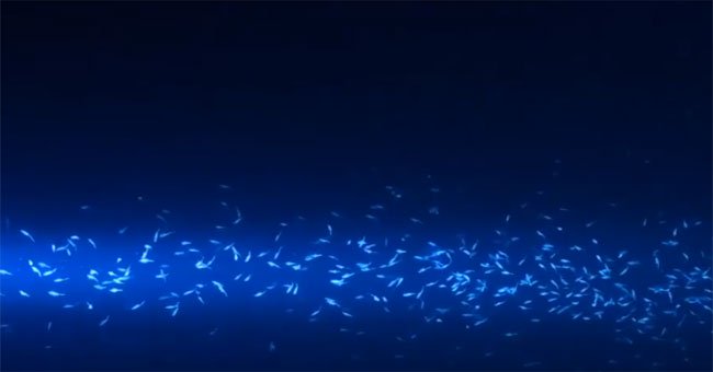 Video: Sinh vật tạo ra dòng chảy mạnh dưới đại dương