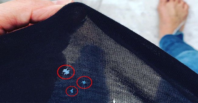 Bí ẩn những cái lỗ gây bực bội trên áo thun - tại sao cứ mặc vài lần là xuất hiện?