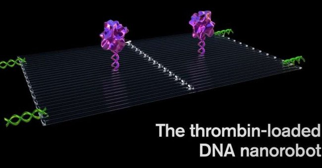 Robot DNA tí hon tiêu diệt ung thư theo chiến thuật "ngựa gỗ thành Troy"