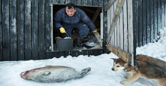 Cuộc sống khắc nghiệt ở vùng đất lạnh giá giáp Bắc Cực