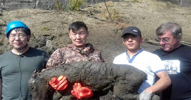 Phát hiện ngựa hóa thạch 3 tháng tuổi ở "cổng địa ngục" Siberia