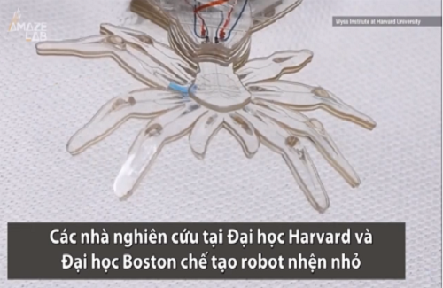 Robot nhện có thể tiến hành phẫu thuật trong tương lai