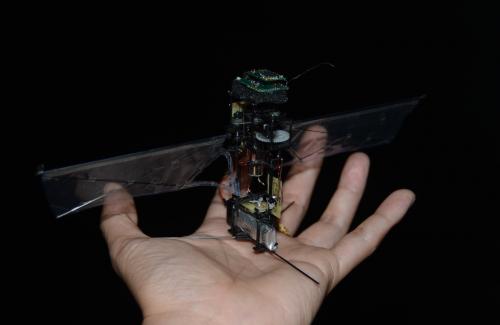 KUBeetle-S: Robot côn trùng có thể bay liên tục trong 9 phút