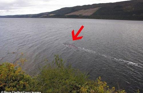 Tranh cãi về hình ảnh mới nhất được cho là quái vật hồ Loch Ness