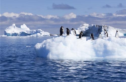 Nam Cực ấm lên nhanh gấp ba lần mức tăng trung bình toàn cầu