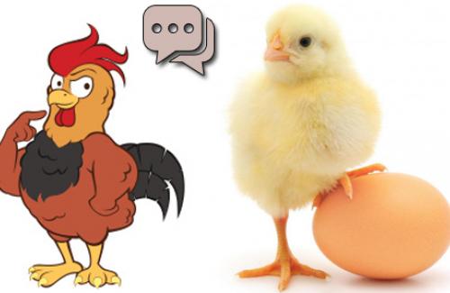 Câu trả lời gây sốc từ manh mối 9500 tuổi cho câu hỏi đau đầu 'Con gà hay quả trứng có trước?'