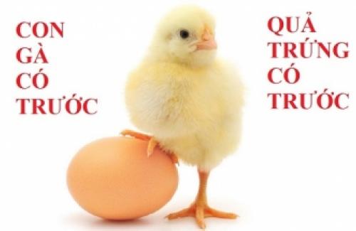 Con gà có trước hay quả trứng có trước? - giới khoa học đã tìm ra manh mối 9500 tuổi để trả lời câu hỏi này