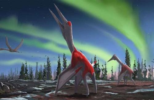 Canada phát hiện ra loài khủng long bay mới, có kích thước tương đương một chiếc máy bay nhỏ