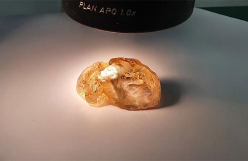 Đào được viên kim cương màu hổ phách lớn chưa từng thấy ở Nga