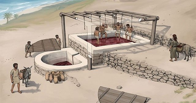 Khai quật được nhà máy rượu nho 2.600 năm tuổi