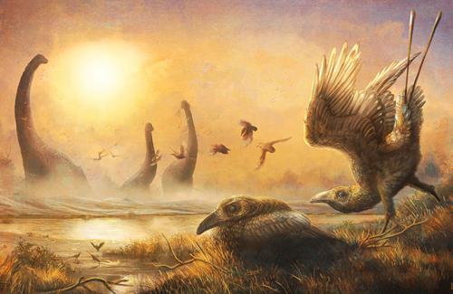 Hóa thạch tiết lộ loài 'chim răng thỏ' kỳ dị