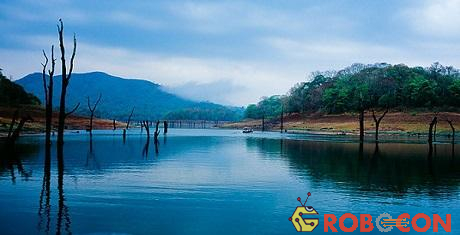 Rừng chìm Periyar là một khu bảo tồn thiên nhiên tọa lạc tại bang Kerala thuộc Nam Ấn Độ.