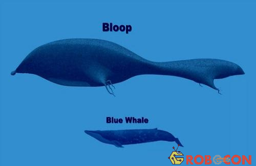 Âm thanh của Cá voi xanh truyền đi chỉ bằng 1/3 của The Bloop