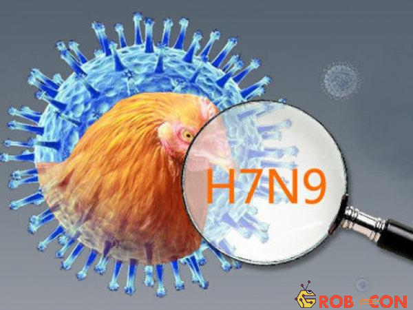 Virus cúm H7N9 độc 
